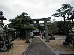 �����_��