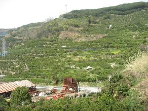 �L�c�݂���