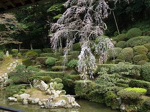 ���w��j�ՁE������뉀