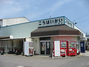 ����֐��B�������΂�����