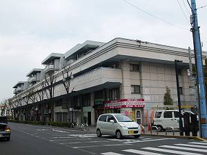 ��o�s�l�H�y�n